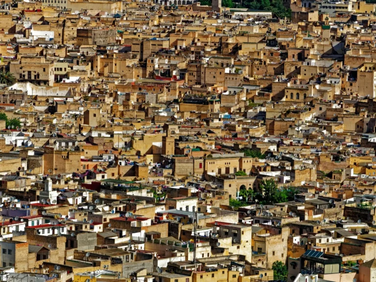 Rooftops of the Fes medina
