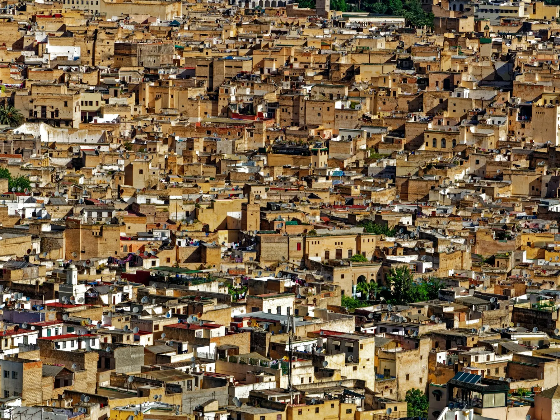 Rooftops of the Fes medina