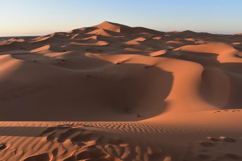 Golden Sahara sand dunes at sunset