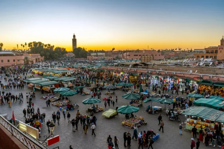 Marrakech Guided Tour: Half Day