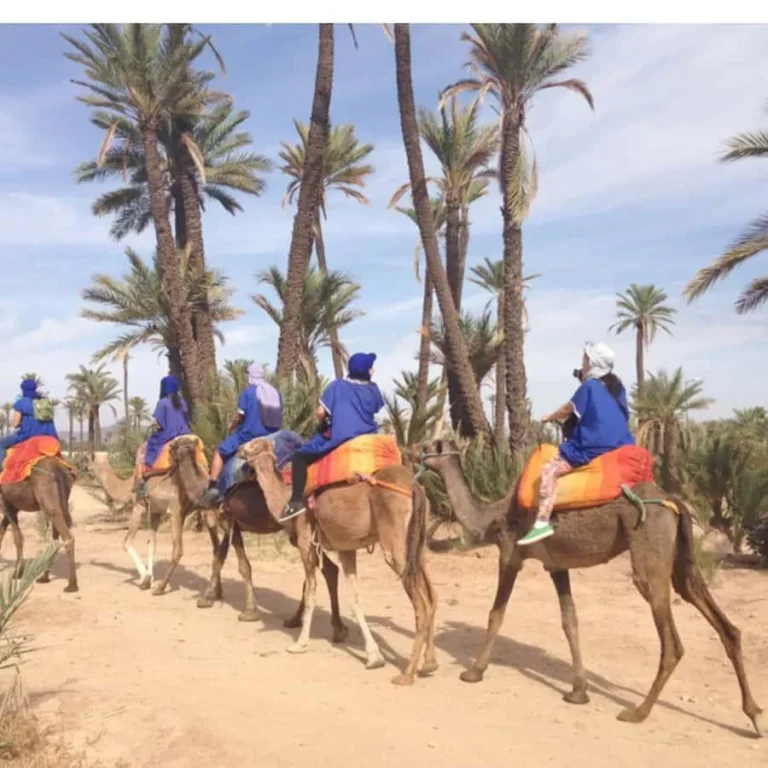 Palmeraie Camel Ride in Marrakech
