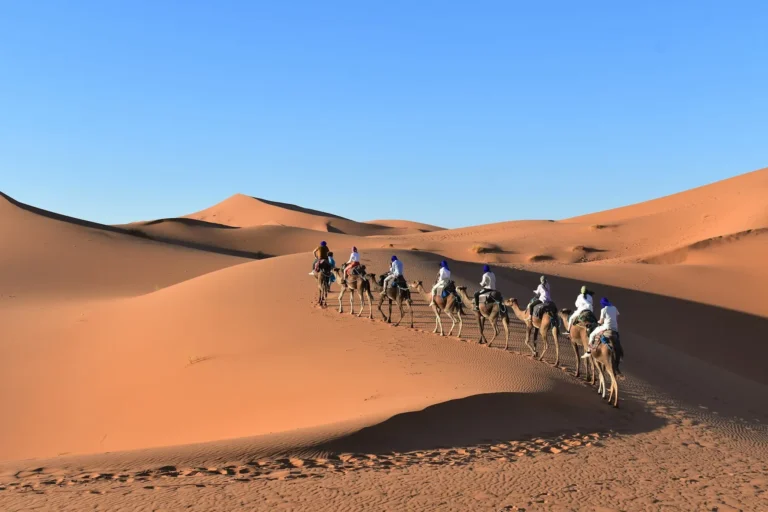 Camel caravan crossing Sahara sand dunes