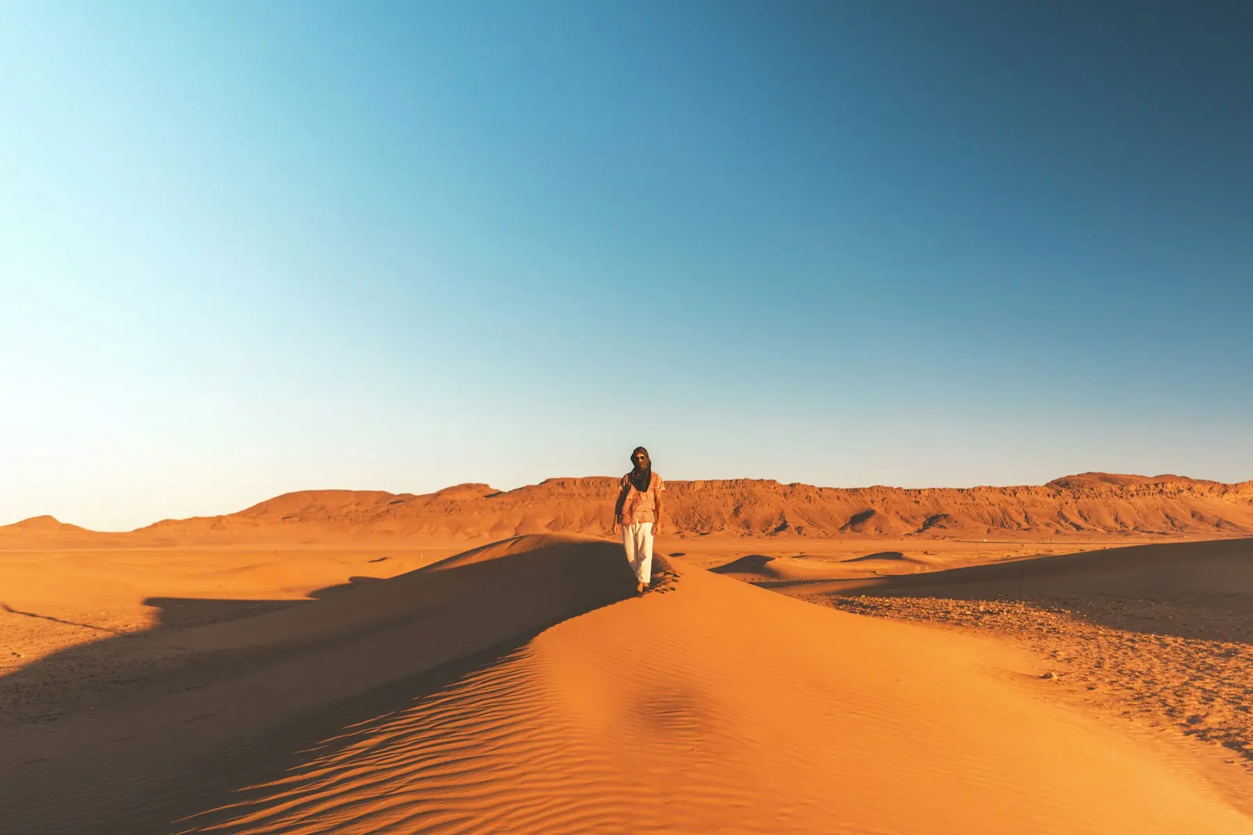Desert landscape near Zagora at sunset
